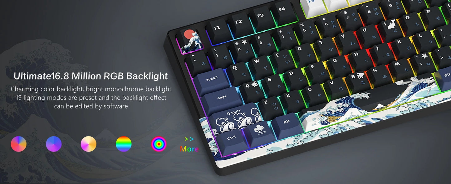 Womier S-K80 75% Keyboard with Color OLED Display Mechanical Gaming Keyboard Hot Swap Keyboard Gasket Mount RGB Custom Keyboard